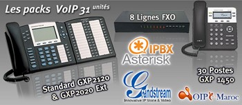 Pack GrandStream 1 standard de 8 lignes et 31 postes extensible a 30 postes GS4/4