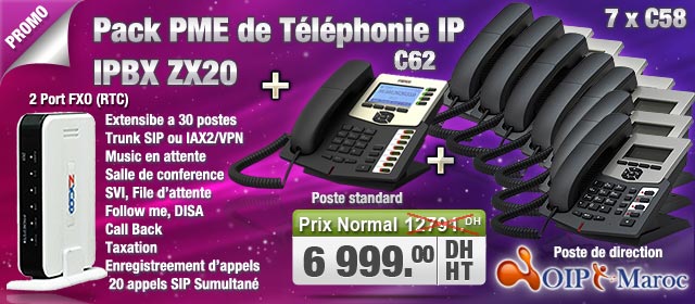 IPBX Asterisk a 2 Lignes avec 8 Postes IP ZX20-A2, C62, 7 x C58
