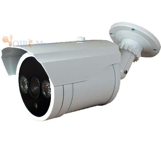 Caméra étanche IR pour une utilisation en extérieur. 04LICE60SHP