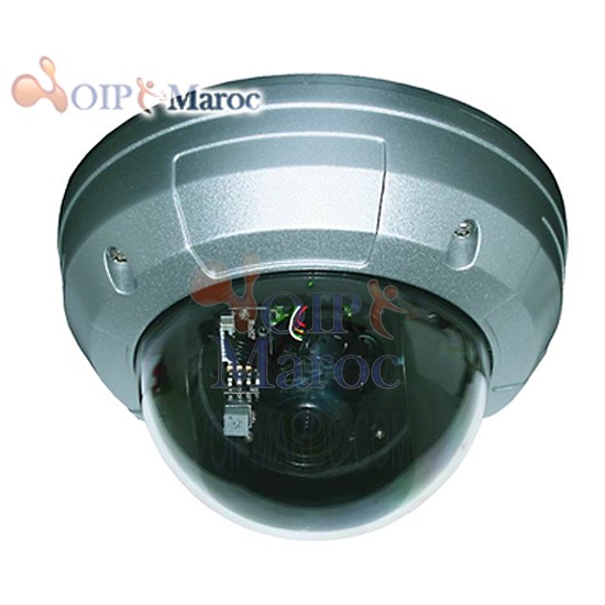 Caméra Dome Etanche 04LVDKSHP