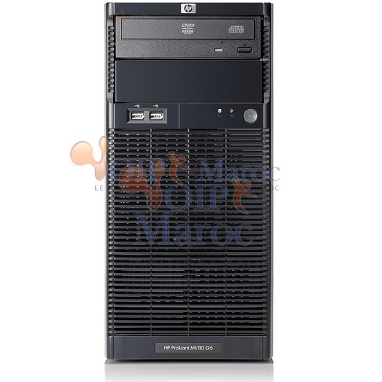 Serveur spécial ProLiant ML110 G6 format tour 470065-341