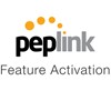 Peplink 5 PepVPN/ SpeedFusion Peers License Key