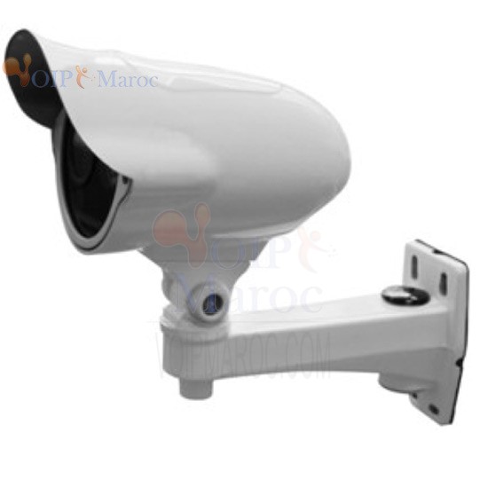 COLOR 1/3" SONY CCD, 420 TVL, WEATHERPROOF IR CAMERA IR LED:￠42X1PC IR LED WORKING DIST: 40M D1014