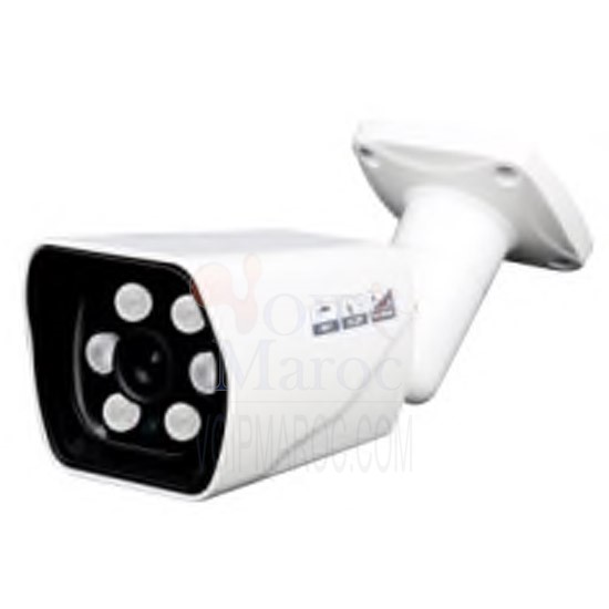 Caméra Led Infrarouge Capteur: 1/4’’progressive scan CMOS D2020