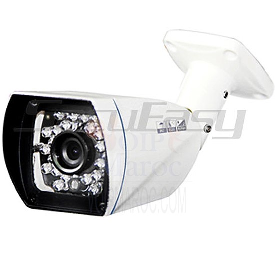 Camera AHD EXT 1 Megapixel infrarouge D2821