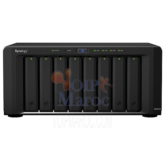 Dual Core 2.13 Ghz  2 Go Ram  4 LAN Gigabit   2 USB 3.0  2 eSATA DS1813+