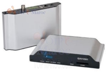 IP video Server / Encoder avec 1 input vidéo analogique