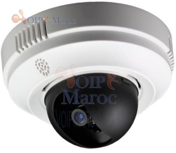 Caméra Dome avec capteur pour basse luminosité