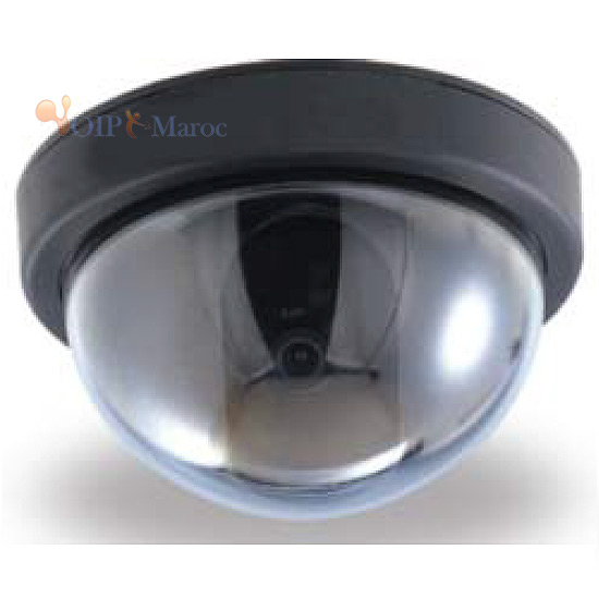 CAMERA COULEUR DOME ANTIVANDALE SONY CCD1/3" 420TVL
