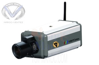 Megapixel IP Camera with built-in ARM9+DSP KD-NMP100WD