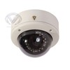 IP Dome Camera adapting Port Ethernet and power supply Port Alarm