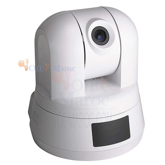 Business PTZ Internet Camera with Audio and PoE PVC300-G5
