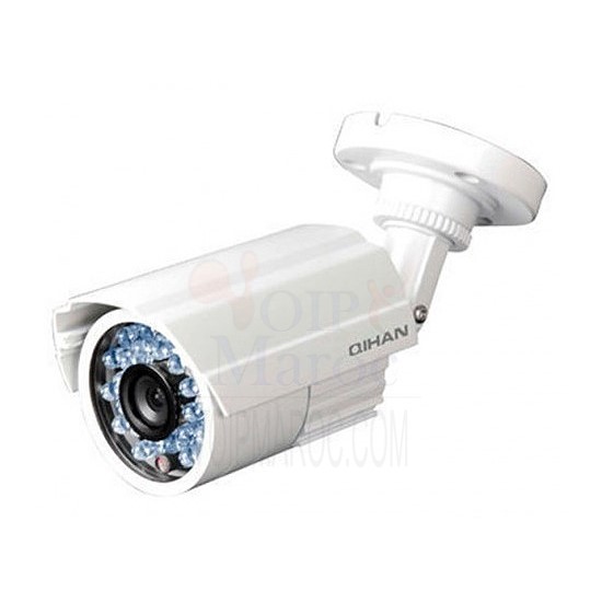 Caméra Analogique 1/3