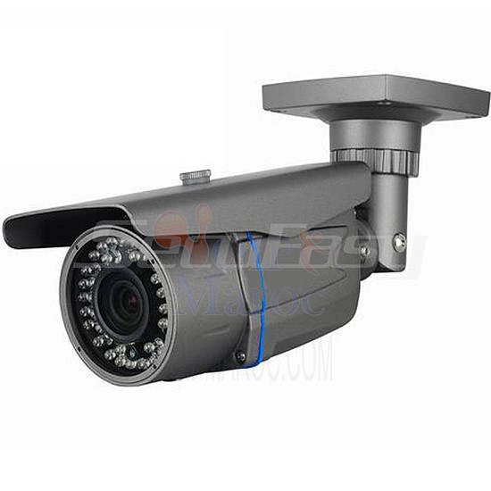 Camera  Weatherproof IR IP camera with 3-Axis Bracket SE-NI203N