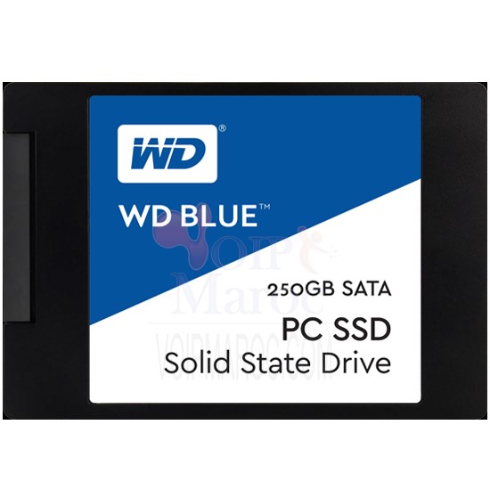 Disque Flash SSD Interne 2,5" 250/500 Go & 1To SATA III 100/200/400 ToW WDS250G1B0A