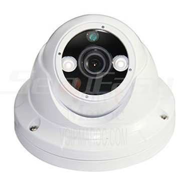 Caméra AHD Dome 2M ANTIVANDALE Infrarouge